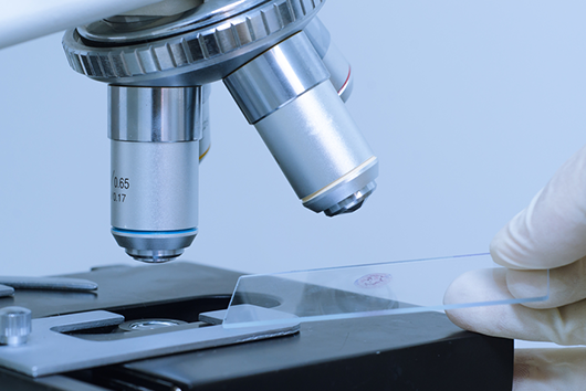 Medical Microbiology small