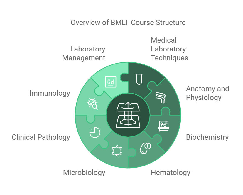BMLT Course Details in English 2025: Eligibility, Criteria Career Opportunities 2 bmlt course structure